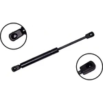 Order Lift Support by FCS AUTOMOTIVE - 86446 For Your Vehicle