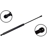 Order Lift Support by FCS AUTOMOTIVE - 86467 For Your Vehicle