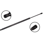 Order FCS AUTOMOTIVE - 86469 - Liftgate Lift Support For Your Vehicle