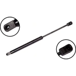 Order Lift Support by FCS AUTOMOTIVE - 86484 For Your Vehicle