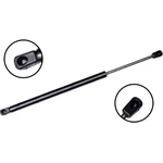 Order Lift Support by FCS AUTOMOTIVE - 86502 For Your Vehicle