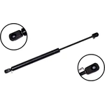 Order Lift Support by FCS AUTOMOTIVE - 86508 For Your Vehicle