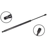 Order FCS AUTOMOTIVE - 86513 - Lift Support For Your Vehicle