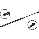 Order Lift Support by FCS AUTOMOTIVE - 86516 For Your Vehicle