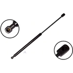 Order Lift Support by FCS AUTOMOTIVE - 86518 For Your Vehicle