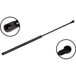 Order Lift Support by FCS AUTOMOTIVE - 86519 For Your Vehicle