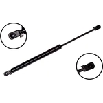 Order Lift Support by FCS AUTOMOTIVE - 86522 For Your Vehicle