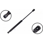 Order Lift Support by FCS AUTOMOTIVE - 86558 For Your Vehicle