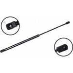 Order Lift Support by FCS AUTOMOTIVE - 86560 For Your Vehicle