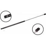 Order Lift Support by FCS AUTOMOTIVE - 86569 For Your Vehicle