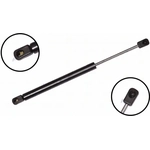 Order Lift Support by FCS AUTOMOTIVE - 86600 For Your Vehicle