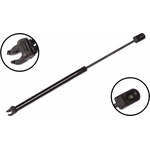 Order FCS AUTOMOTIVE - 86607 - Lift Support For Your Vehicle