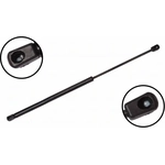 Order Lift Support by FCS AUTOMOTIVE - 86610 For Your Vehicle