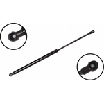 Order Lift Support by FCS AUTOMOTIVE - 86614 For Your Vehicle