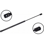 Order Lift Support by FCS AUTOMOTIVE - 86615 For Your Vehicle