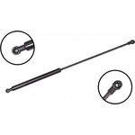 Order Lift Support by FCS AUTOMOTIVE - 86619 For Your Vehicle