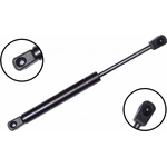 Order Lift Support by FCS AUTOMOTIVE - 86622 For Your Vehicle