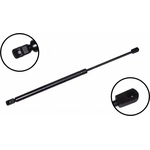 Order Lift Support by FCS AUTOMOTIVE - 86624 For Your Vehicle