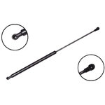Order FCS AUTOMOTIVE - 86625 - Tailgate Lift Support For Your Vehicle
