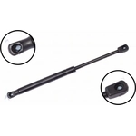 Order Lift Support by FCS AUTOMOTIVE - 86634 For Your Vehicle