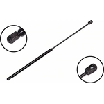 Order Lift Support by FCS AUTOMOTIVE - 86646 For Your Vehicle