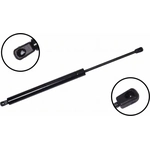 Order Lift Support by FCS AUTOMOTIVE - 86648 For Your Vehicle