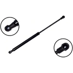 Order Lift Support by FCS AUTOMOTIVE - 86650 For Your Vehicle