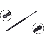 Order Lift Support by FCS AUTOMOTIVE - 86651 For Your Vehicle