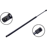 Order Lift Support by FCS AUTOMOTIVE - 86656 For Your Vehicle