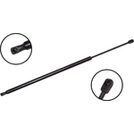 Order Lift Support by FCS AUTOMOTIVE - 86664 For Your Vehicle