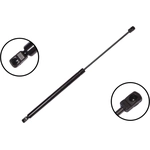 Order Lift Support by FCS AUTOMOTIVE - 86665 For Your Vehicle