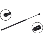 Order Lift Support by FCS AUTOMOTIVE - 86678 For Your Vehicle