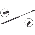 Order FCS AUTOMOTIVE - 86682 - Hood Lift Support For Your Vehicle