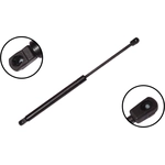 Order Lift Support by FCS AUTOMOTIVE - 86683 For Your Vehicle