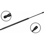 Order Lift Support by FCS AUTOMOTIVE - 86687 For Your Vehicle