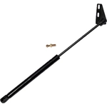 Order Lift Support by FCS AUTOMOTIVE - 86715 For Your Vehicle