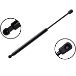 Order FCS AUTOMOTIVE - 86746 - Liftgate Lift Support For Your Vehicle