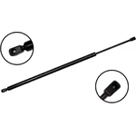 Order Lift Support by FCS AUTOMOTIVE - 86775 For Your Vehicle