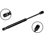 Order Lift Support by FCS AUTOMOTIVE - 86786 For Your Vehicle