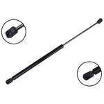 Order FCS AUTOMOTIVE - 86799 - Liftgate Lift Support For Your Vehicle
