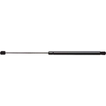 Order FCS AUTOMOTIVE - 86799 - Liftgate Lift Support For Your Vehicle