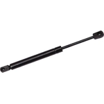 Order FCS AUTOMOTIVE - 86817 - Trunk Lid Lift Support For Your Vehicle