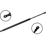 Order FCS AUTOMOTIVE - 86837 - Lift Support For Your Vehicle