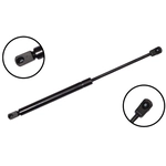 Order FCS AUTOMOTIVE - 86861 - Hood Lift Support For Your Vehicle