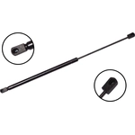 Order Lift Support by FCS AUTOMOTIVE - 86869 For Your Vehicle