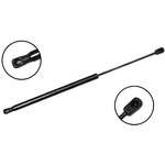 Order FCS AUTOMOTIVE - 86876 - Liftgate Lift Support For Your Vehicle