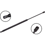 Order Lift Support by FCS AUTOMOTIVE - 86881 For Your Vehicle