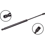 Order Lift Support by FCS AUTOMOTIVE - 86883 For Your Vehicle