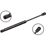 Order Lift Support by FCS AUTOMOTIVE - 87006 For Your Vehicle