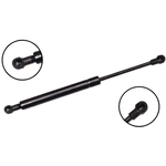 Order FCS AUTOMOTIVE - 87028 - Hood Lift Support For Your Vehicle